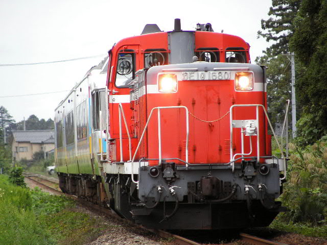 ������NODOKA�� ���V�Á��V�֊� �X��24��