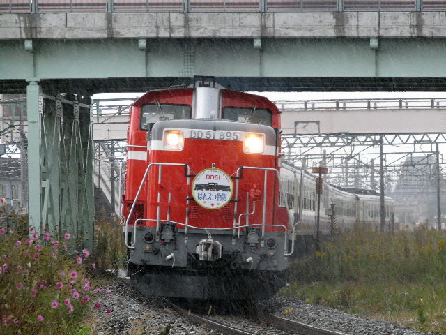 DD51�΂񂦂��� �V�Á����V�Ê� 06/11/12 S2IS