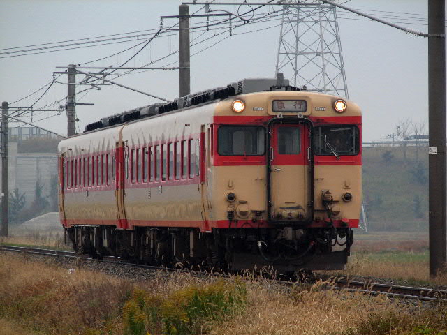 �}�s�ׂɂ΂� ���X�؁����V���c�� 11��16�� S2IS