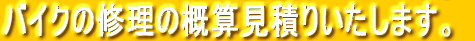 �o�C�N�̏C���̊T�Z���ς��肢�����܂��B