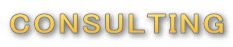 CONSULTING