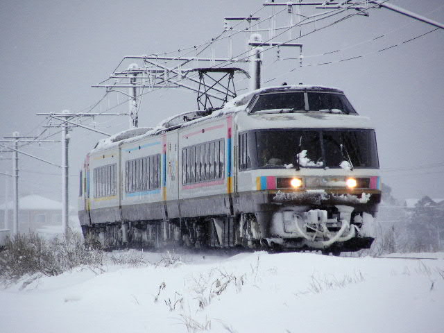 ���wNO.DO.KA �L�h�����ʊ� �P���R��