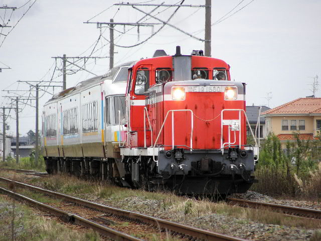 ������NODOKA�� ���쁨������� �X��24��