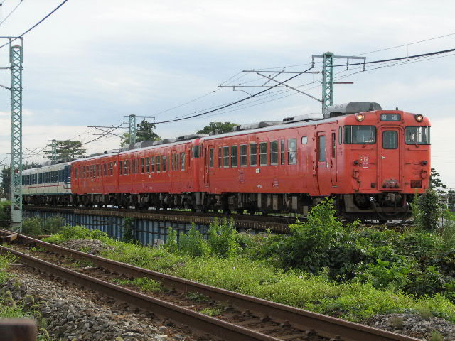 2235D ���쁨�T�c�� �X���P�� S2IS�@�X���P���͂Q������