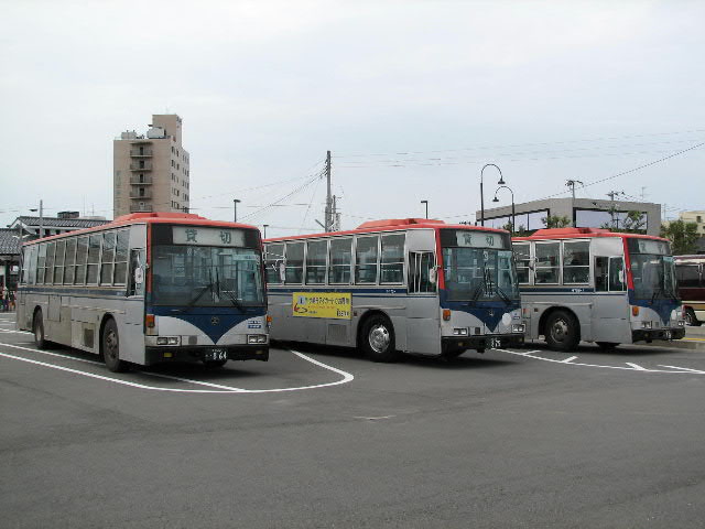 P-LV314Q�i�Ȃ܂��j �V���c�w �X���Q�� S2IS�@�u�Ȃ܂��v�ŐԒJ���Ղ�K�˂闷