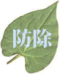 �h��