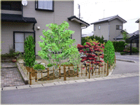 CAD�摜