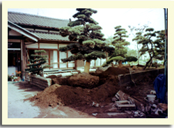 �{�H��
